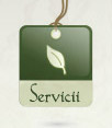 servicii